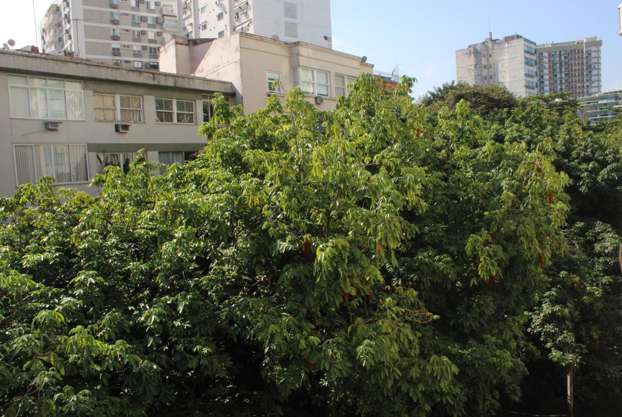 Apartment Ape No Coracao Do Leblon